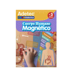 Cuerpo Humano-Laminas magnéticas didactico Adetec — LibrerÃa Bulnes Chile
