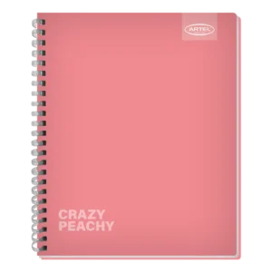 Cuaderno Universitario Fluor Soft 100H Artel — LibrerÃa Bulnes Chile